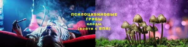 apvp Саяногорск