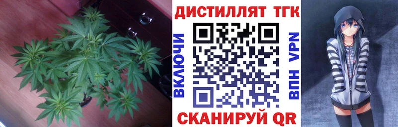 Дистиллят ТГК Wax  Пласт 